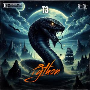 Python