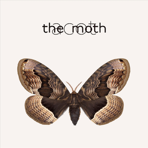 The Moth