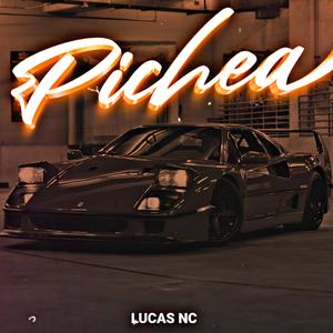 PICHEA (Turreo Edit)