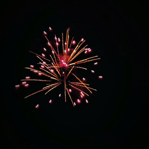 你说什么是爱呢