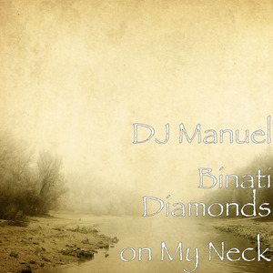 Diamonds on My Neck