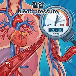 혈압(blood pressure)