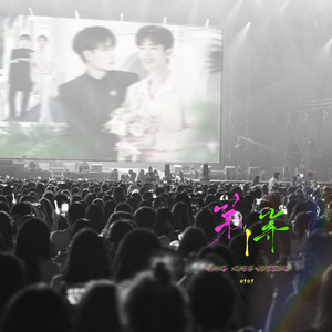 第一等 ｜博君一肖95纪念填翻OST