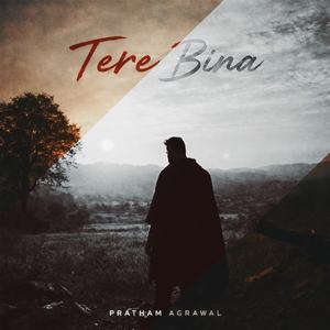 Tere Bina