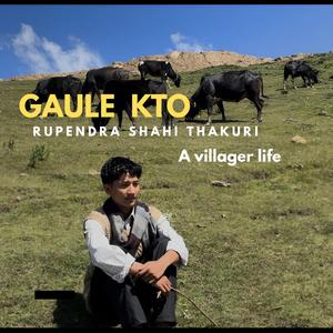 Gaule kto