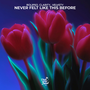 never felt like this before