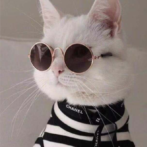 回忆的天空（纯音乐）