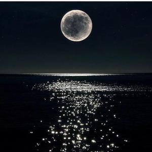 骗自已（翻自 AY楊佬叁）