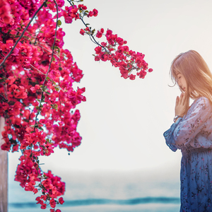 卷珠帘（Cover 霍尊）