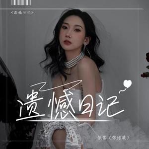 遗憾日记 (DJ沈念版)(张茜 (张惜淇) Remix)