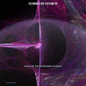 Sorrowful Quantum Elegy (Original)