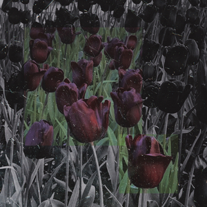 碰撞与声音prod.by.LilSiren