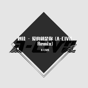 刘佳 - 爱的就是你 （A-CIVIL)（A-CIVIL remix）