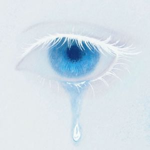 我们不如放手重新再去爱