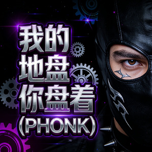 我的地盘你盘着(PHONK)