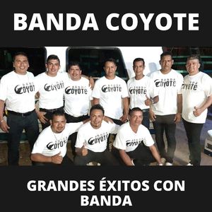 Brindaremos