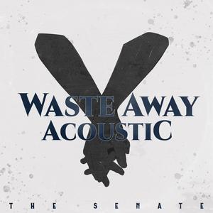 Waste Away (Acoustic Version)