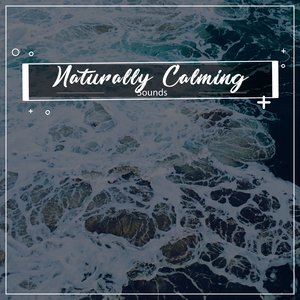 Tranquil Binaural Sounds