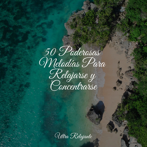 El Estrés Desaparece Para Siempre