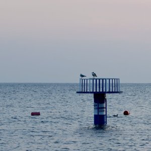 夏日的尾巴