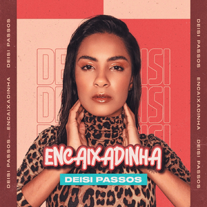 Encaixadinha