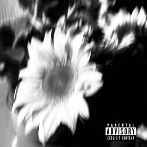 Anderer (_INTERLUDE_)