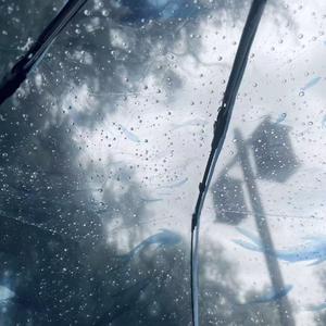 根脉的私语与叶尖的宇宙