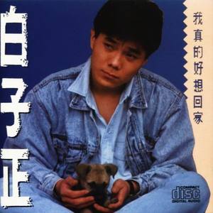 我真的好想回家