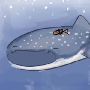 a lullaby and story on a whale shark's back