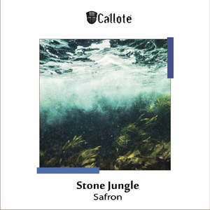 Stone Jungle
