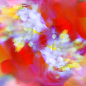 International Kissing Day