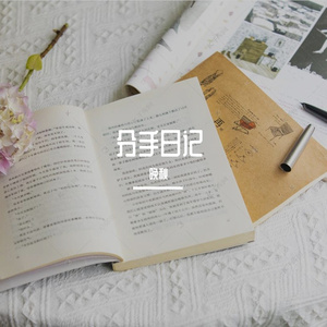分手日记