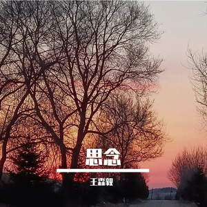 琥珀凝结的思念夏天