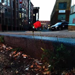 送你一朵小红花 口琴版（翻自 赵英俊）