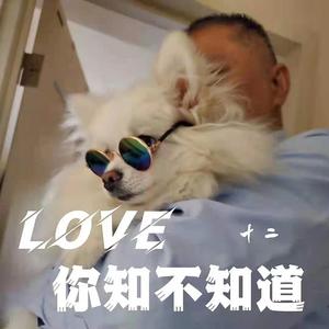 love你知不知道