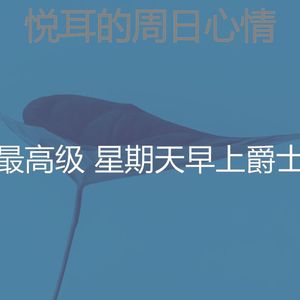 一尘不染放松的印象数