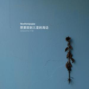 想要回到三亚的海边-remixed for 手册