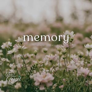 Memory of Peace