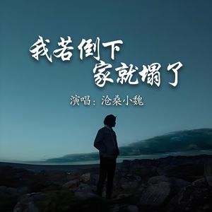 我若倒下家就塌了