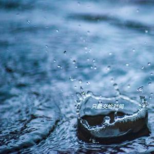 水花只能开在雨天