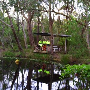 Cyst (Live at the Grove) (Live)