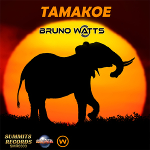 Tamakoe (Extended Mix)