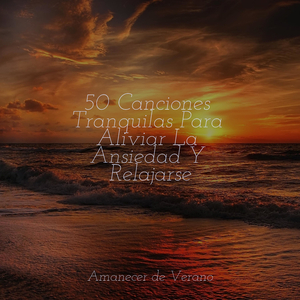 Silencioso Rodar de Felicidad