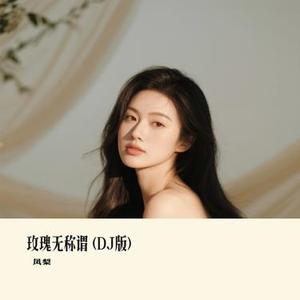 玫瑰无称谓 (DJ版) (凤梨 Remix)