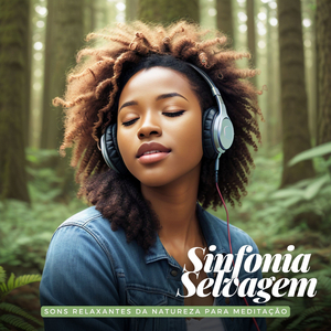 Nascer do Sol na Floresta