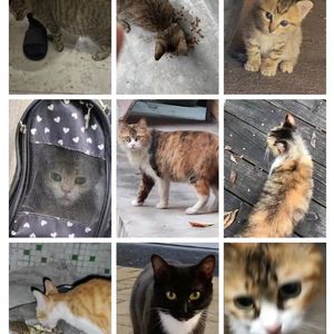 生来赤裸，活得绚烂