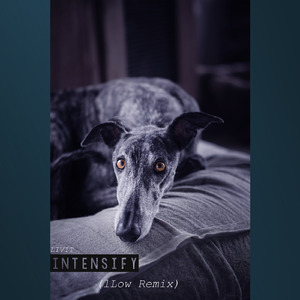 Intensify (Remix)