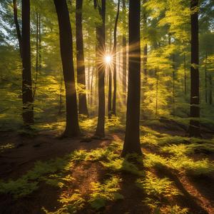 やさしさの余韻