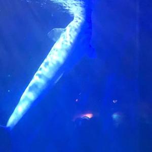 大连今天下雨了吗