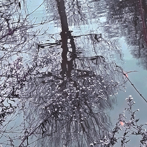 Unified Fields, Pt. 2